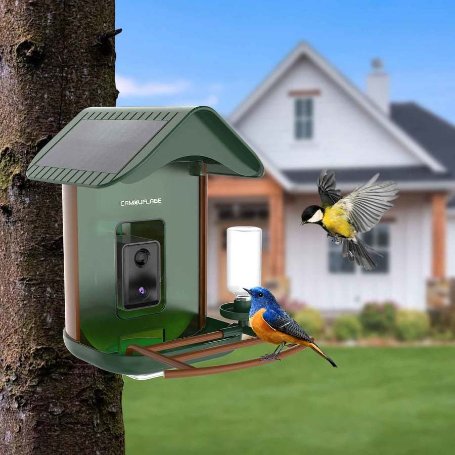 Comedero para pájaros inteligente con detección de especies mediante IA