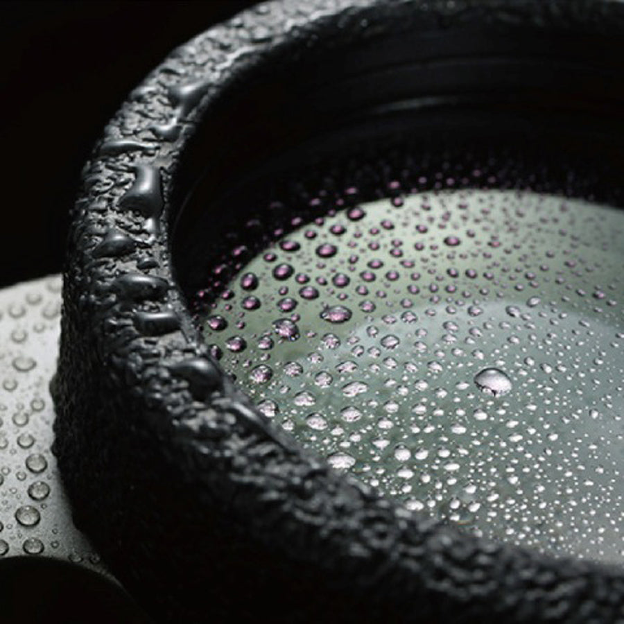 prismáticos Vanguard Endeavor ED II 10X42 