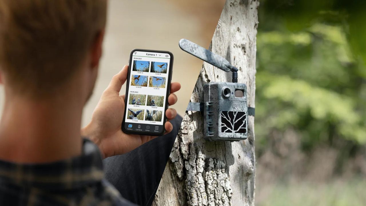 Cámara trampa fotográfica ZEISS Secacam 5 conectada 