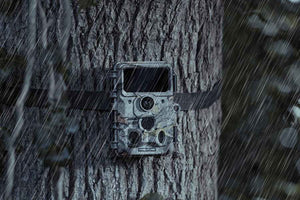 Cámara de caza Camuflaje EZ60 Wi-Fi - Envío a smartphone 