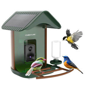 Comedero para pájaros inteligente con detección de especies mediante IA 