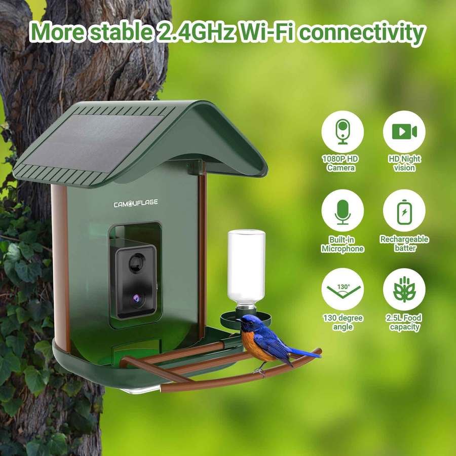 Comedero para pájaros inteligente con detección de especies mediante IA 