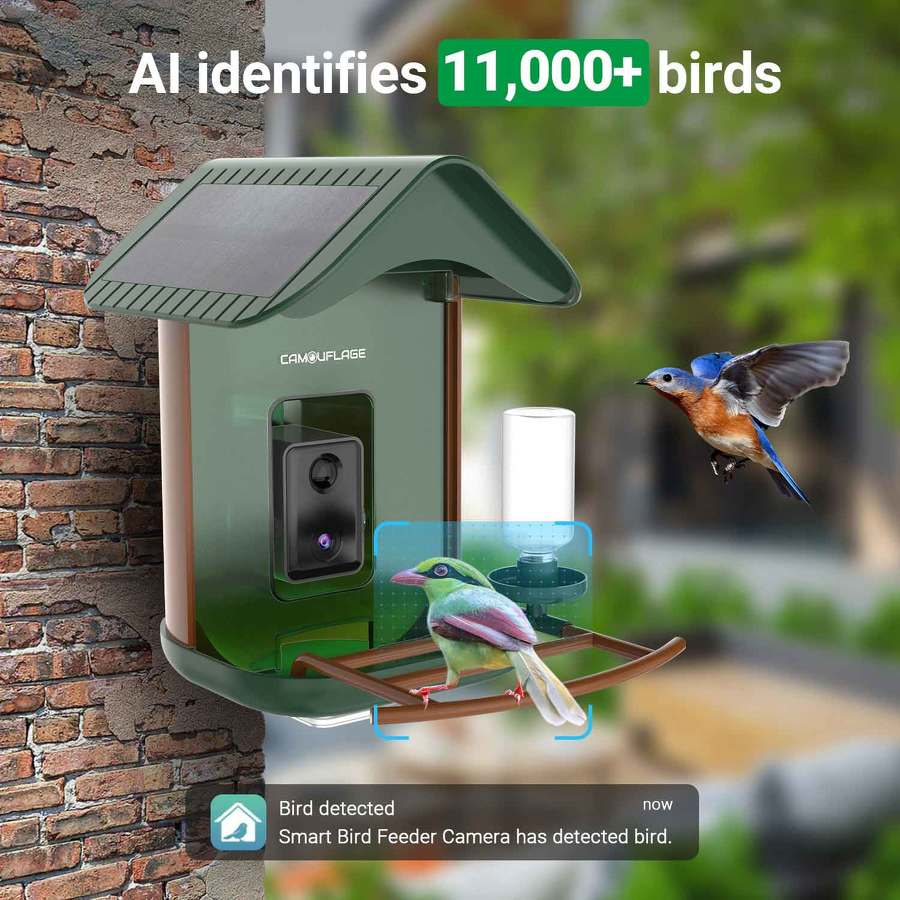 Comedero para pájaros inteligente con detección de especies mediante IA 