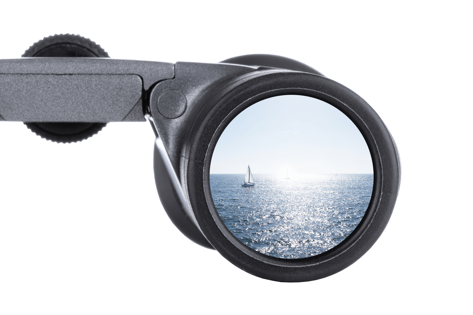 prismáticos Steiner BluHorizons 10X42 