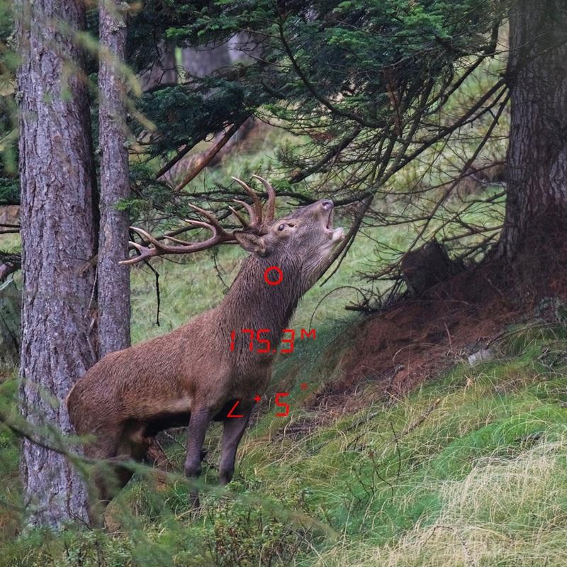 Prismáticos GPO con telémetro Rangeguide 3200 10x40 