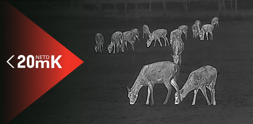 Monocular de visión térmica Hikmicro Lynx Pro LH25 2.0 