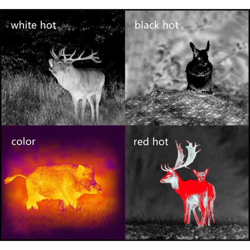 Monocular Pard visión térmica 25 mm - 12µm 384 x 288px Wifi 