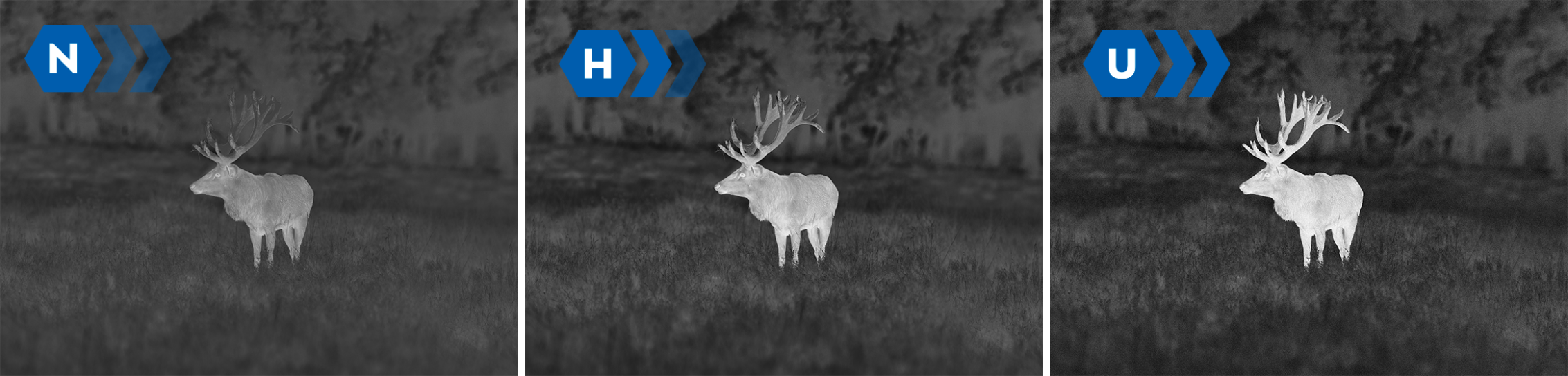 Monocular térmico PULSAR AXION XG35 compacto y conectado 