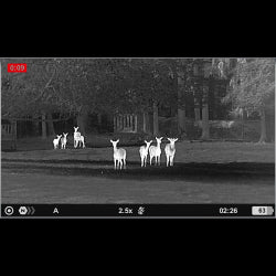 Monocular térmico PULSAR AXION XG35 compacto y conectado 