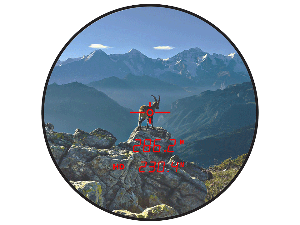 prismáticos Steiner Ranger LRF 10X42 