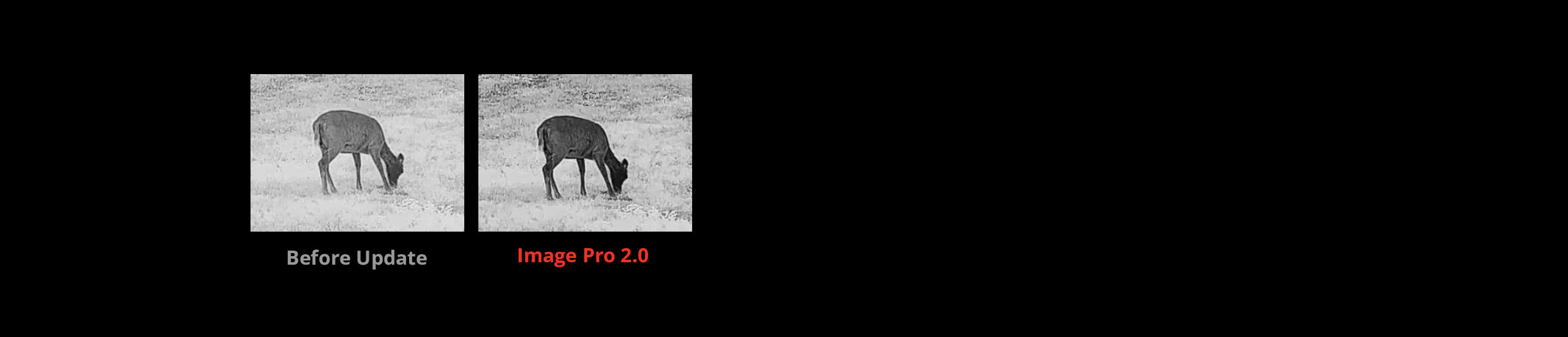 Módulo de disparo con imagen térmica (CLIP-ON) HIKMICRO THUNDER TQ35C 3.0 