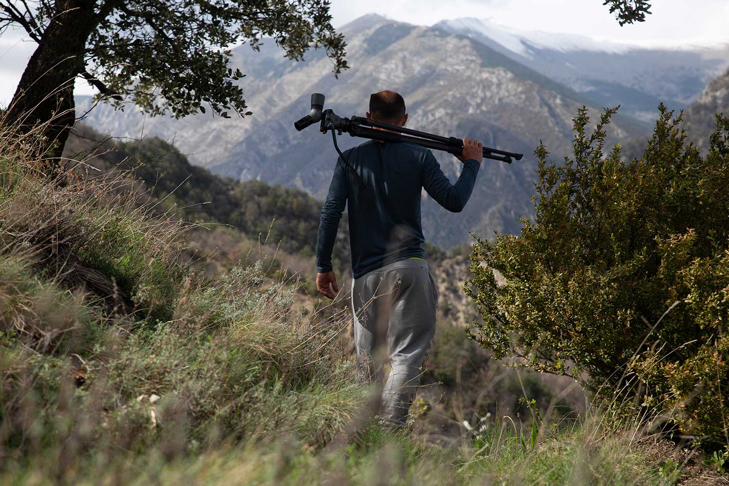 Telescopio terrestre URIKAN U-TRAIL 8-24X50 