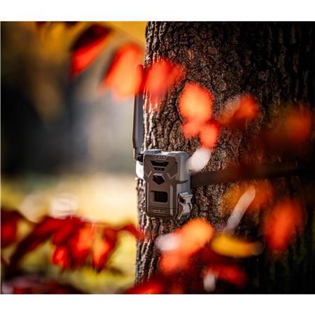 Cámara Spypoint Flex-M 