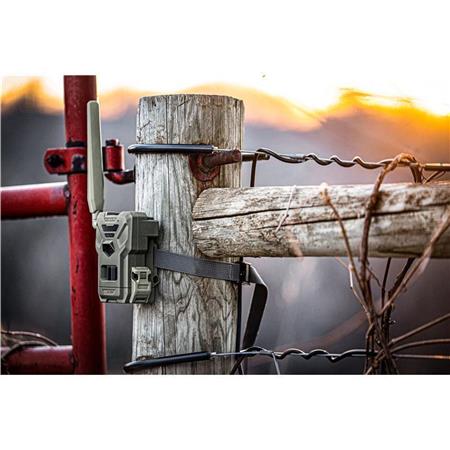 Cámara Spypoint Flex-M 