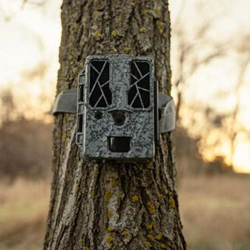 Cámara trampa fotográfica Spypoint Force Pro Dark 4K no conectada 