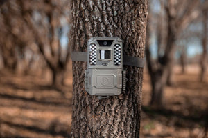 Cámara trampa Bushnell Prime 24MP LED blanco 