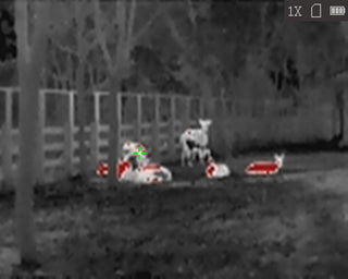 Monoculaire de vision thermique HiKMICRO Lynx LC06 S connecté