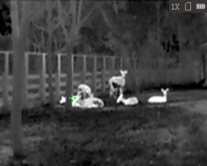 Monocular de visión térmica HiKMICRO Lynx LC06 S conectado 