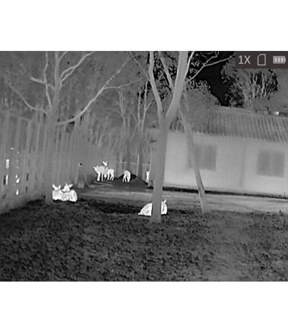 Monocular de visión térmica Hikmicro Lynx LH15 Pro 2.0 