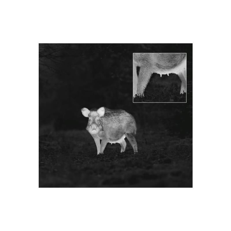 Monocular de visión térmica ZEISS DTI 3/35 GEN 2 