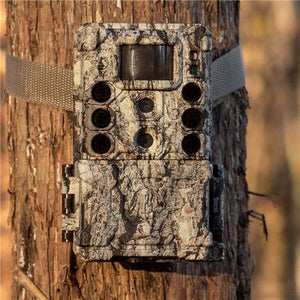 Cámara trampa Bushnell Core DS 4K 32 MP Led Negra- Camo 