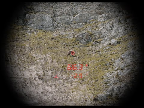 prismáticos Steiner Ranger LRF 10X42 