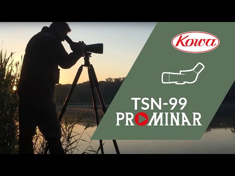 Telescopio terrestre Kowa TSN-99A acodado 45° con ocular TE-11WZ II 
