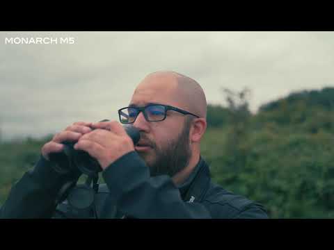 prismáticos Nikon Monarch M5 8X42 