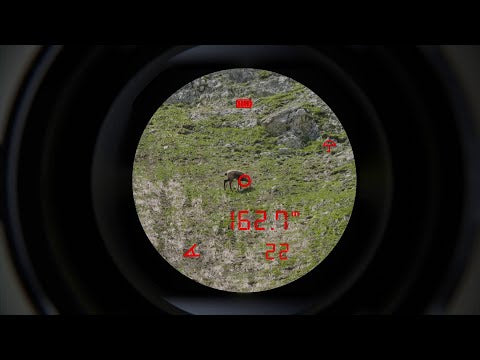 Prismáticos Steiner eRanger LRF 10x42 telémetro integrado 