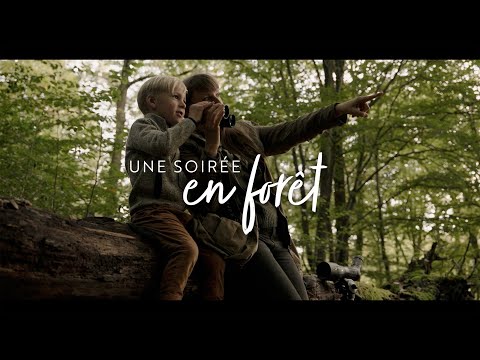 Telescopios terrestres Kite Optics KSP 80 HD 25-50X80 