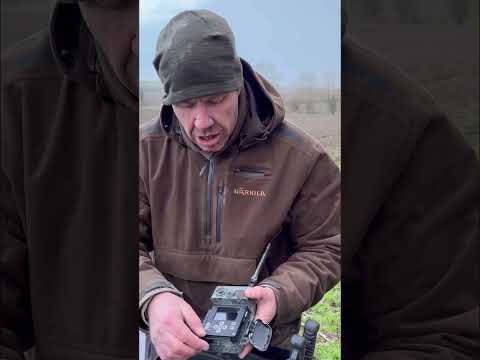 Cámara trampa fotográfica ZEISS Secacam 7 conectada 