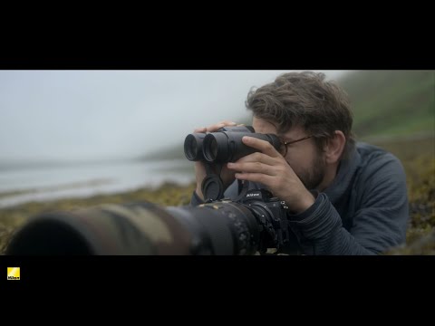 prismáticos Nikon Monarch M5 8X42 