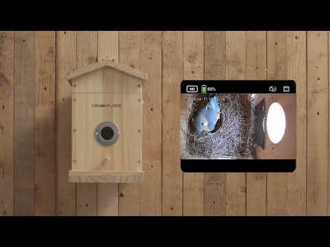 Caja nido para aves conectada con detección de especies por IA EZ-NestEye 