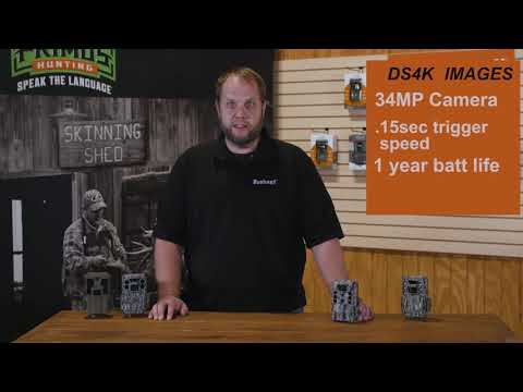 Cámara trampa Bushnell Core DS 4K 32 MP Led Negra- Camo 