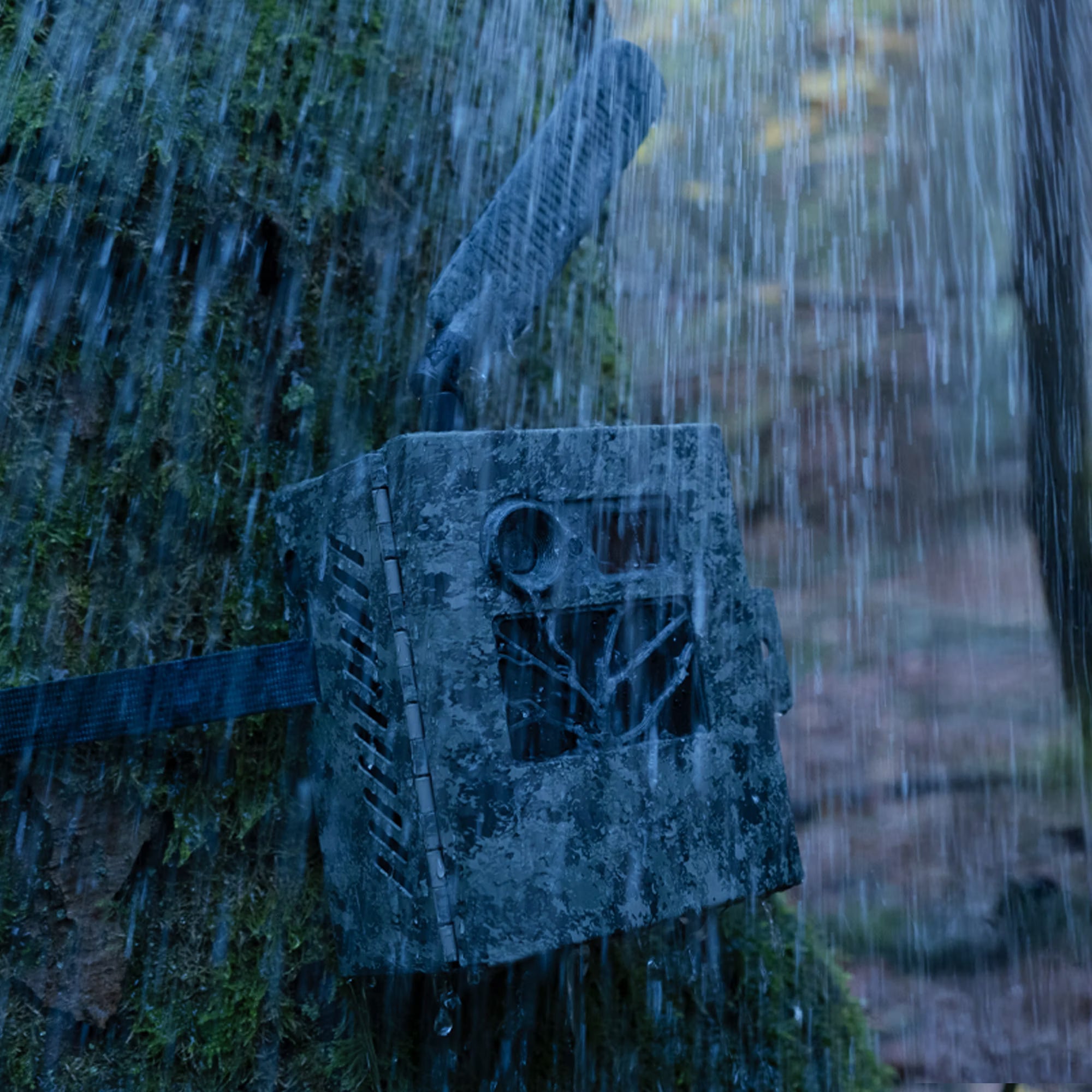 Caja de seguridad Secacam 3 ZEISS 