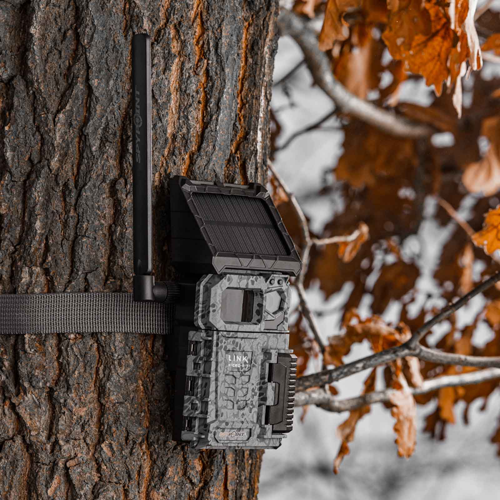 Cámara trampa fotográfica Spypoint FLEX Solar con transmisión de fotos/vídeos 