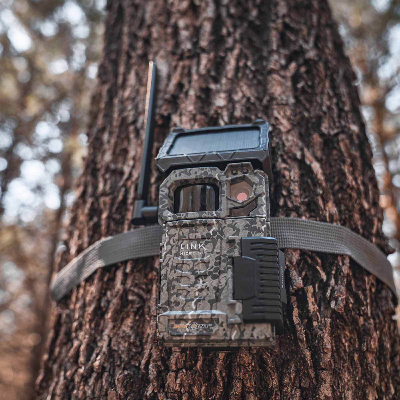 Cámara trampa fotográfica Spypoint FLEX Solar con transmisión de fotos/vídeos 