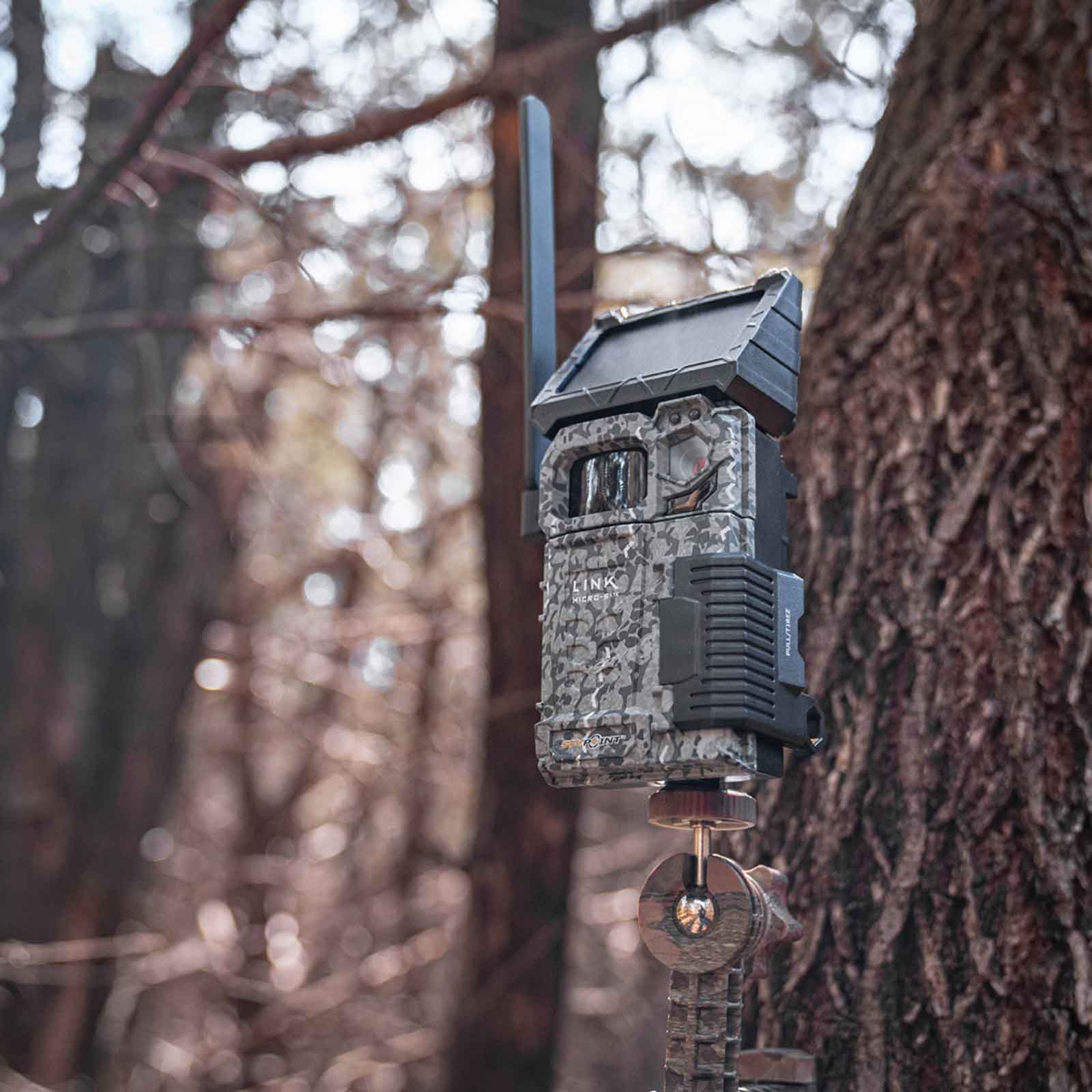 Cámara trampa fotográfica Spypoint FLEX Solar con transmisión de fotos/vídeos 