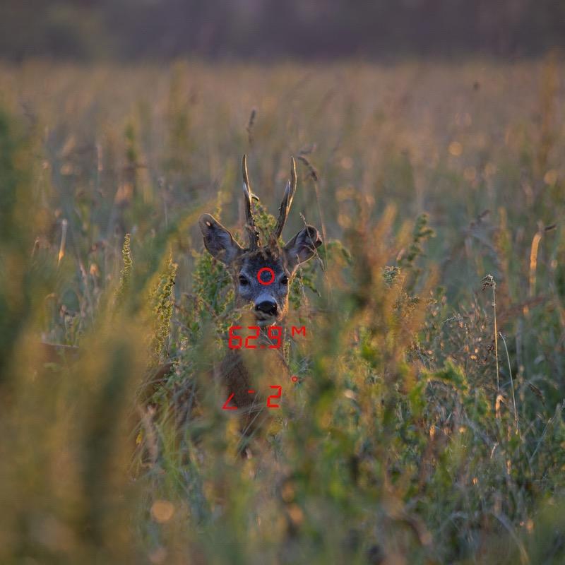 prismáticos GPO con telémetro Rangeguide 2800 8x32 